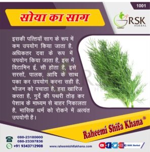 1001 Soye Ka Saag_Hindi