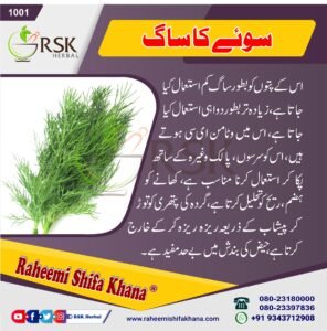 1001 Soye Ka Saag_Urdu