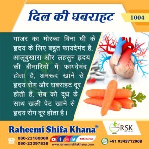 1004 Dil Ki Ghabrahat_Hindi