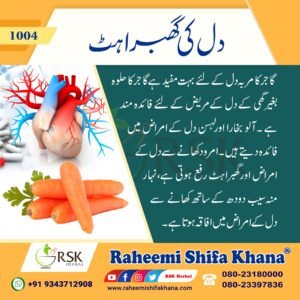 1004 Dil Ki Ghabrahat_Urdu