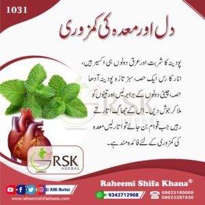 1031 Dil aur Pet Ki Kamzori_Urdu