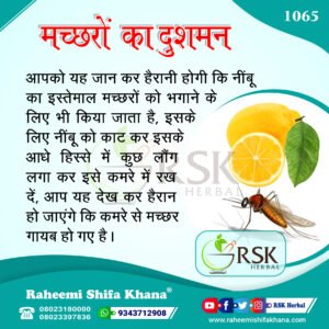 1065 Machchharon Ka Dushman_Hindi