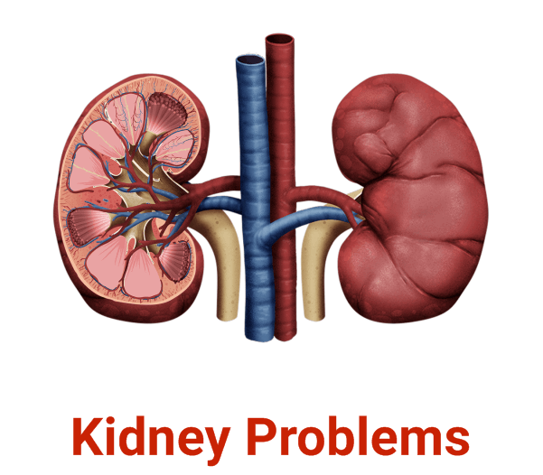 Kidney Problems